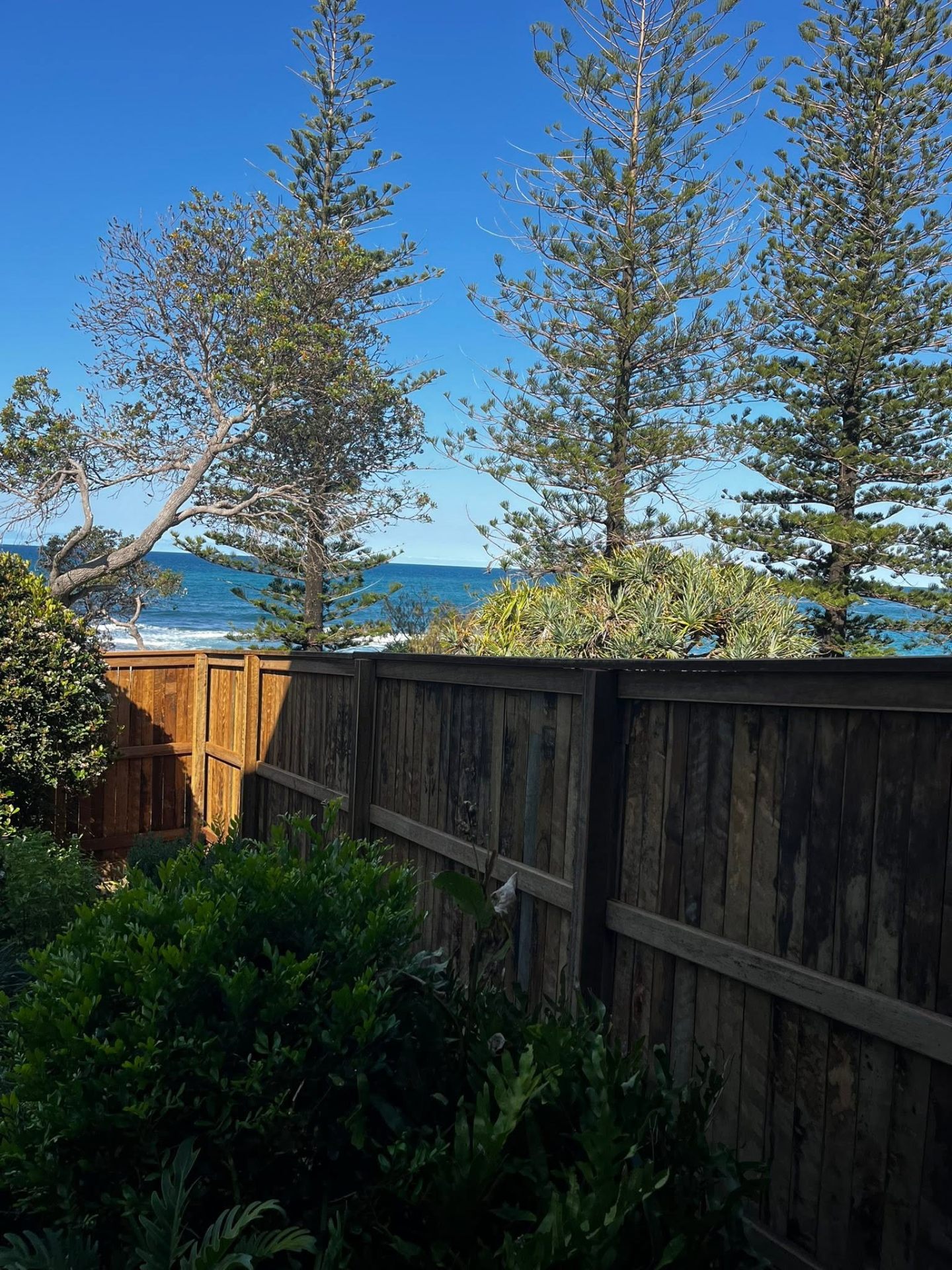 Timber fence with ocean backdrop — Coastal Fencing Solutions, Sunshine Coast